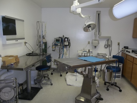 Dental