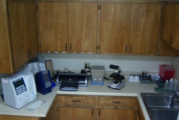 Lab